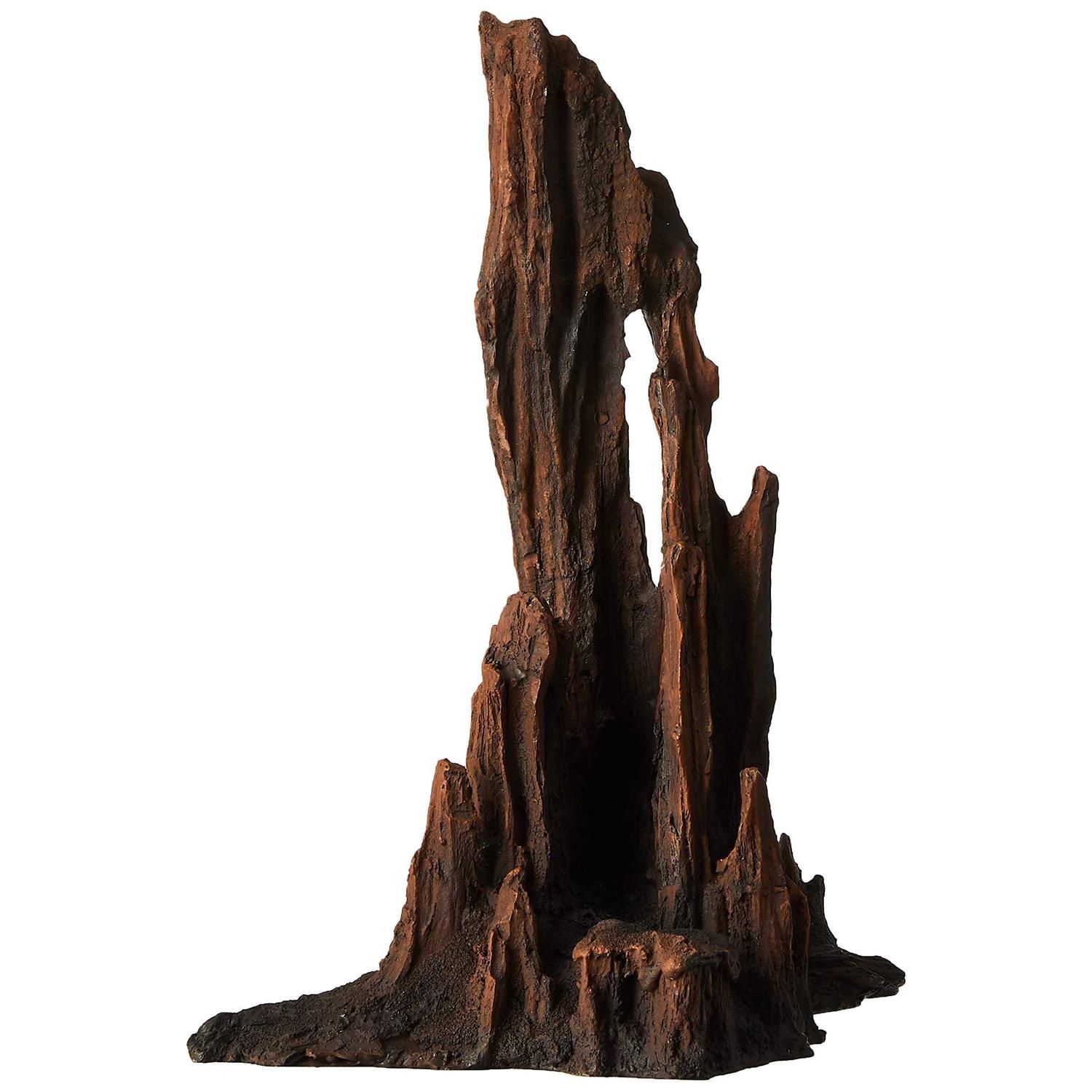 Underwater Treasures Petrified Wood - Healthber