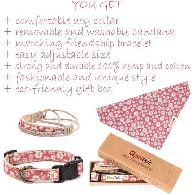 Pettsie Matching Dog Collar, Bandana and Owner Friendship Bracelet Gift Box Included - Healthber
