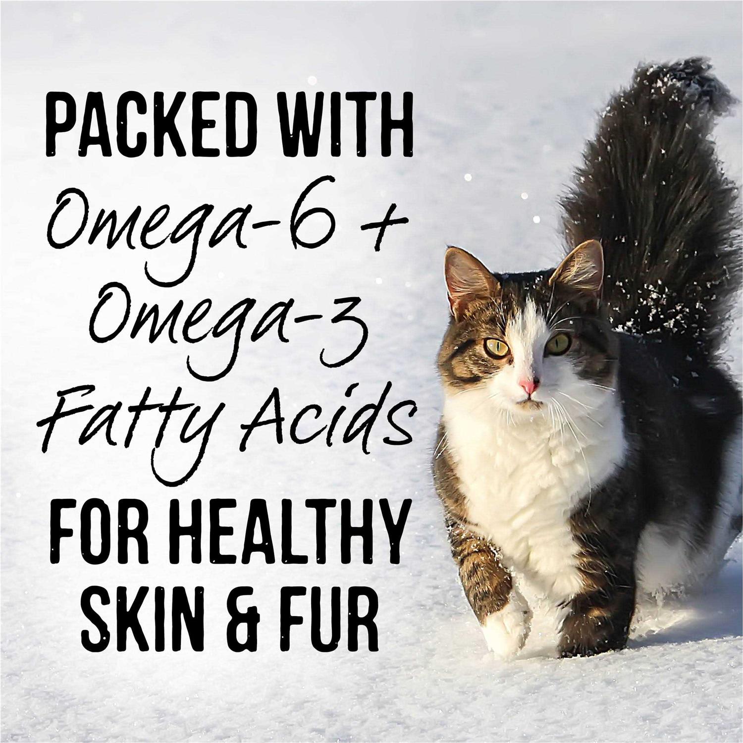 Merrick Backcountry Cat Food Real Cuts - Healthber