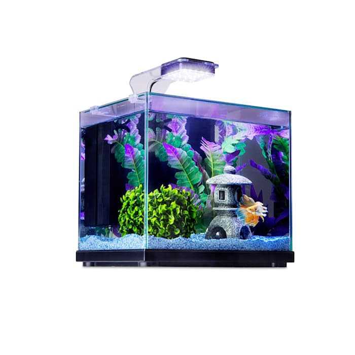 Imagitarium Glass Versa Aquarium - Healthber
