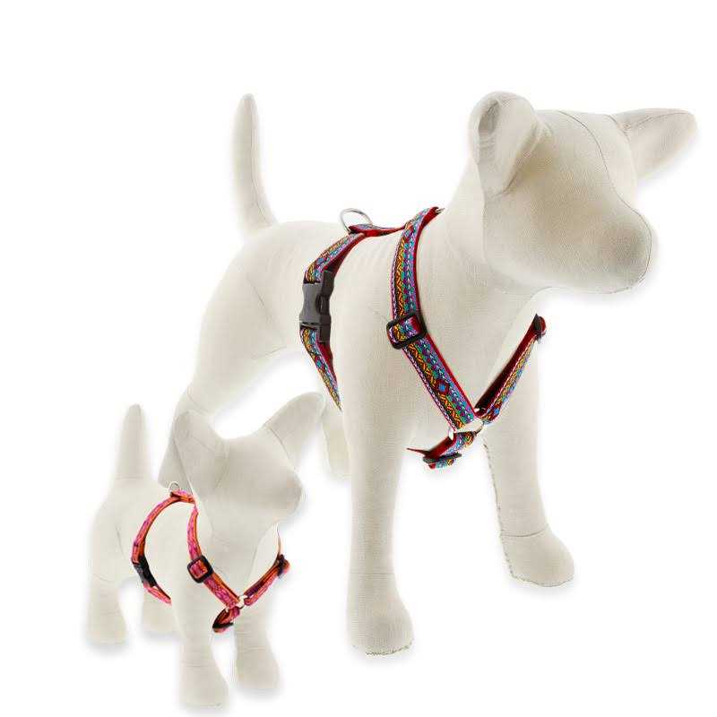LupinePet Dog Roman Harness - Healthber