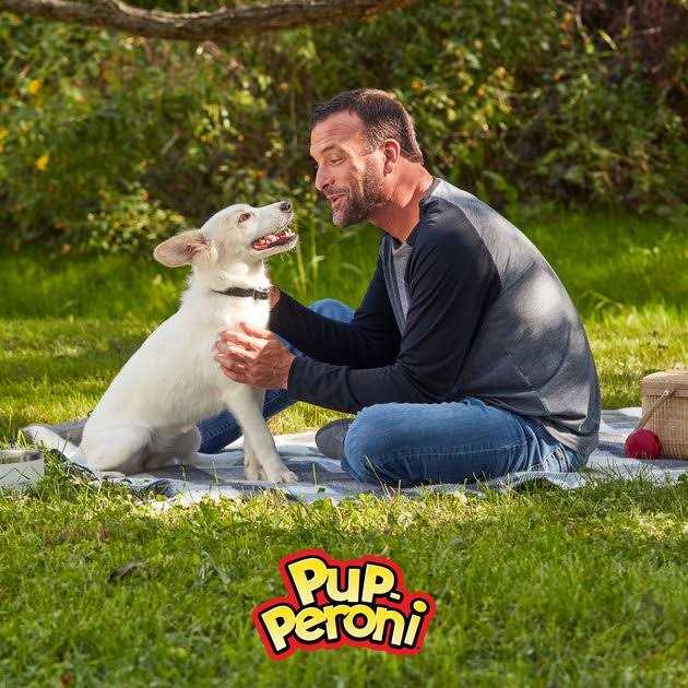 Pup-Peroni Rounds Dog Treats with Beef - Healthber