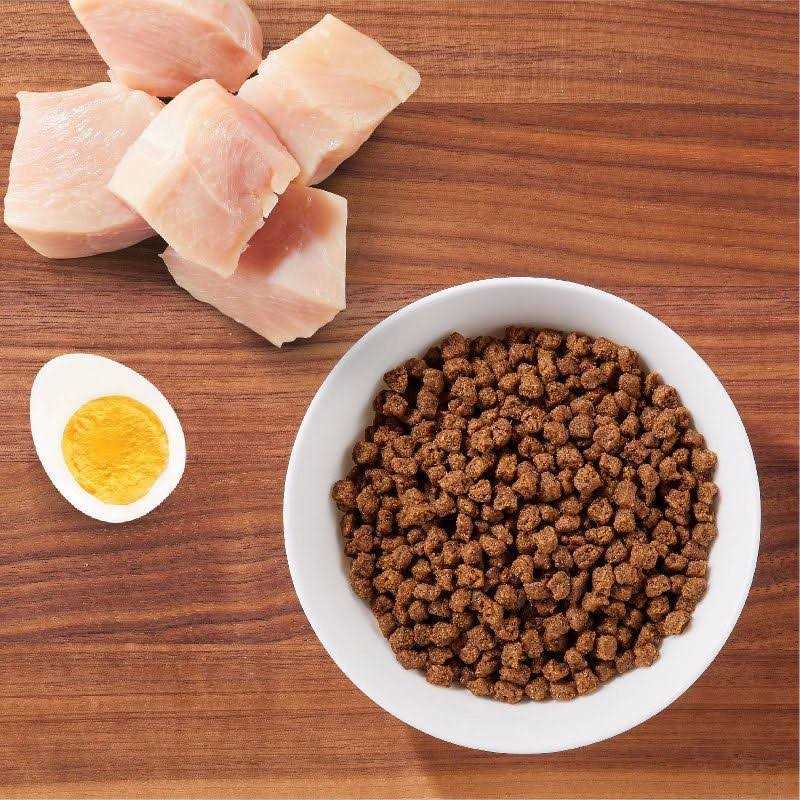 Iams ProActive Health Dry Kitten Food - Healthber