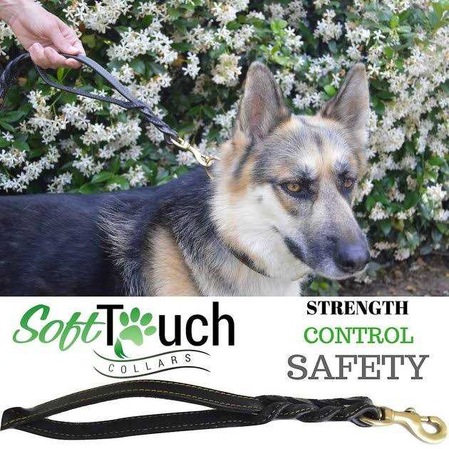 Soft Touch Collars 6 Foot Braided Leather Dog Leash with Traffic Handle, Two Handles for Training and Safety - Healthber