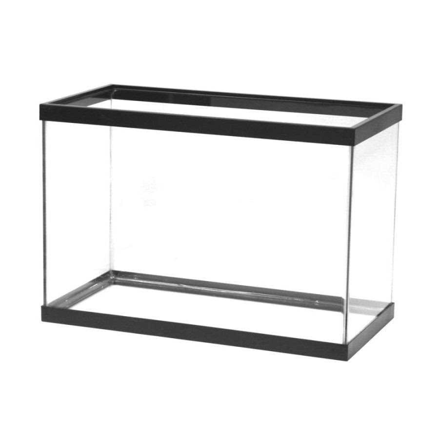 Aqueon Standard Glass Rectangle Aquarium - Healthber