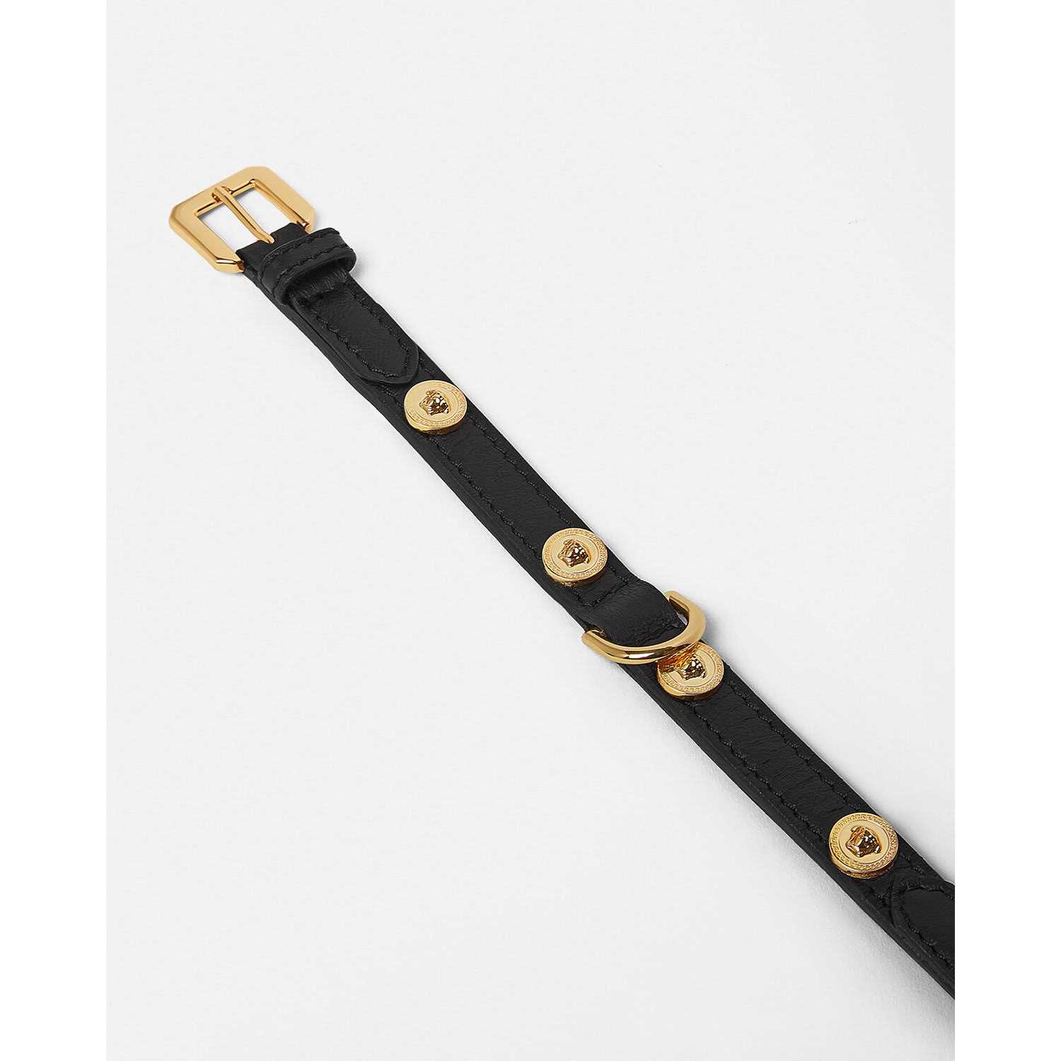 Versace Icon Small Pet Collar - Healthber