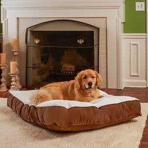 Happy Hounds Bailey Rectangle Pillow Dog Bed w/ Removable COVER - Healthber