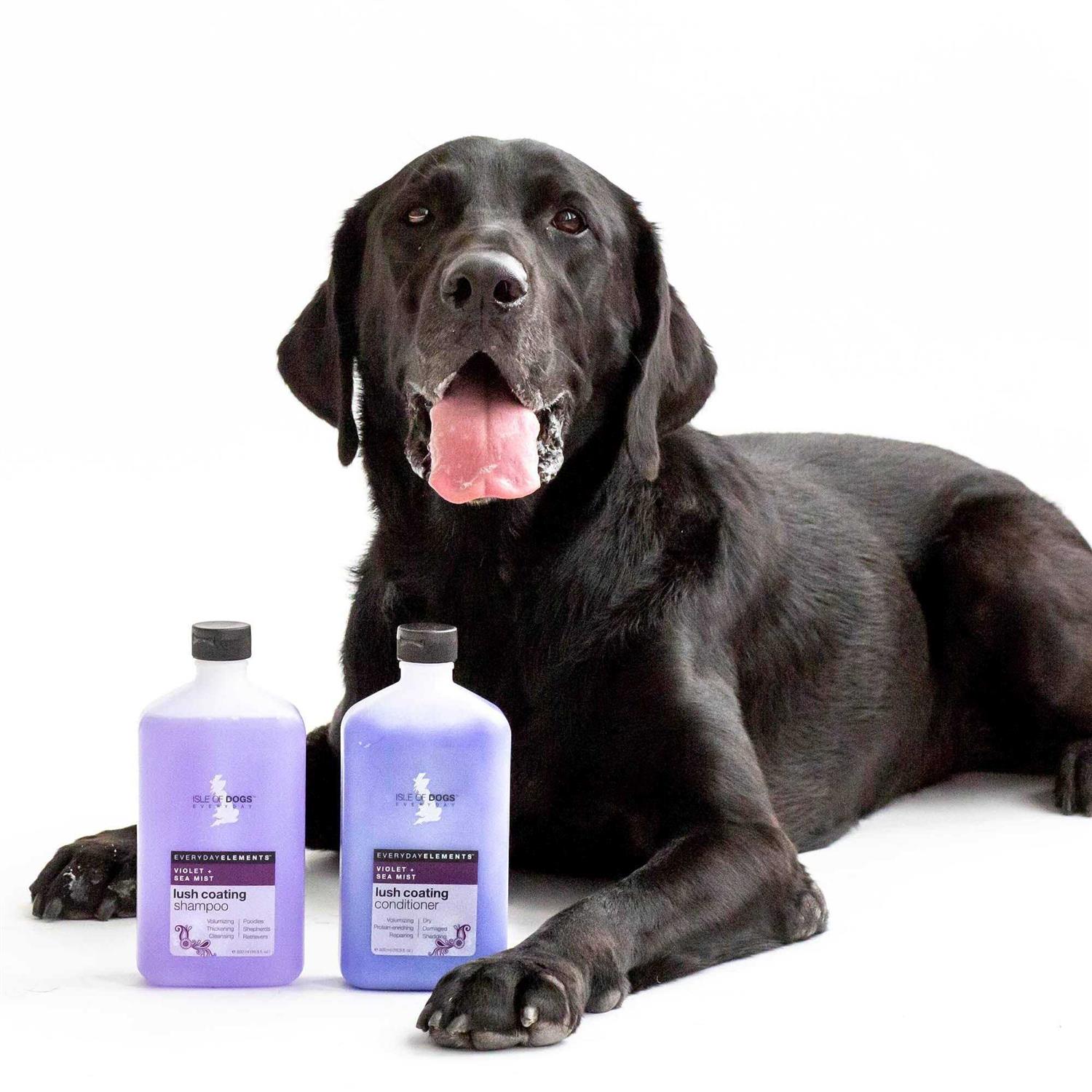 Isle of Dogs Everyday Violet & Sea Mist Lush Coating Shampoo For Dogs - Healthber