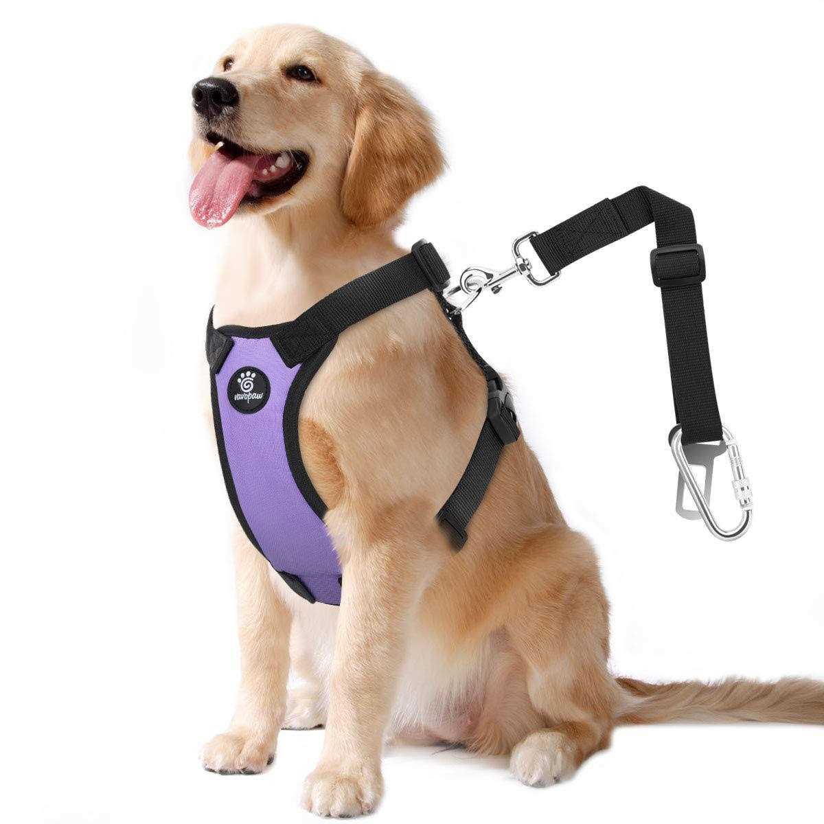 VavoPaw Dog Vehicle Safety Vest Harness, Adjustable Soft Padded Mesh Car Seat Belt Leash Harness with Travel Strap and Carabiner - Healthber