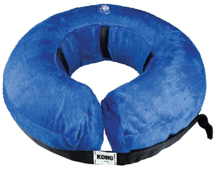 KONG Cloud Protective Pet Collar - Healthber
