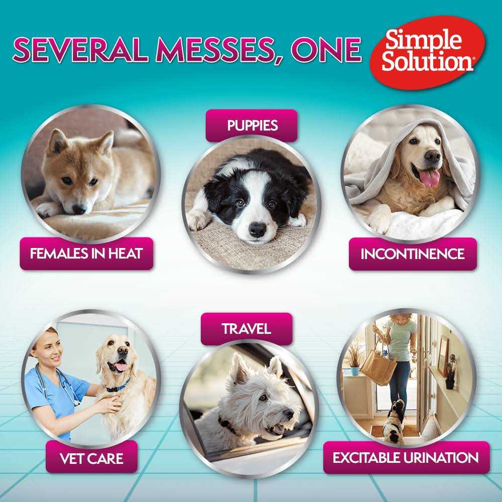 Simple Solution Diapers Disposable - Healthber