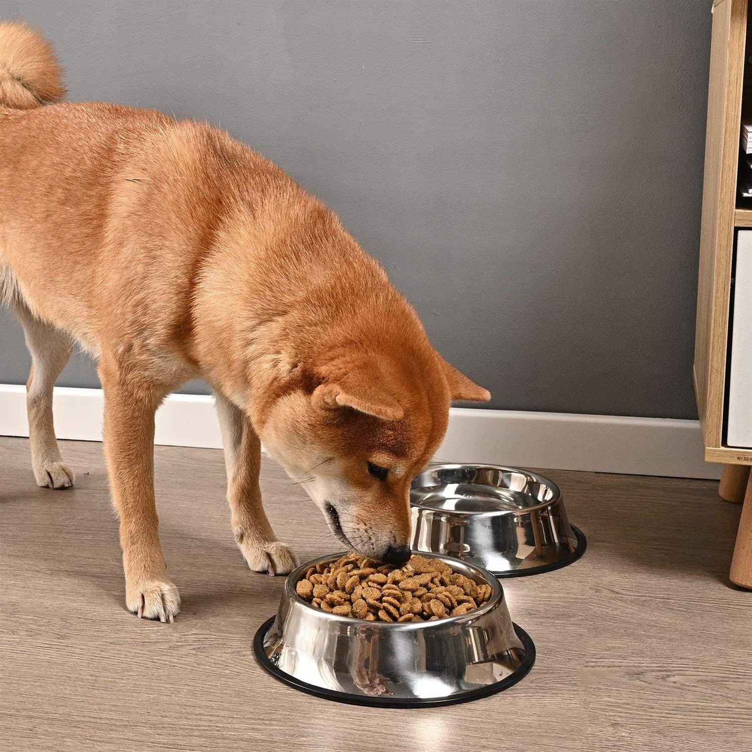 Juqiboom 2Packs Stainless Steel Dog Bowl with Anti-Skid Rubber Base for Small/Medium/Large Pet, Perfect Dish, Pets Feeder Bowl and Water Bowl Perfect Choice - Healthber