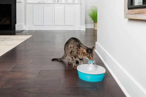 Drinkwell Butterfly Pet Fountain - Healthber