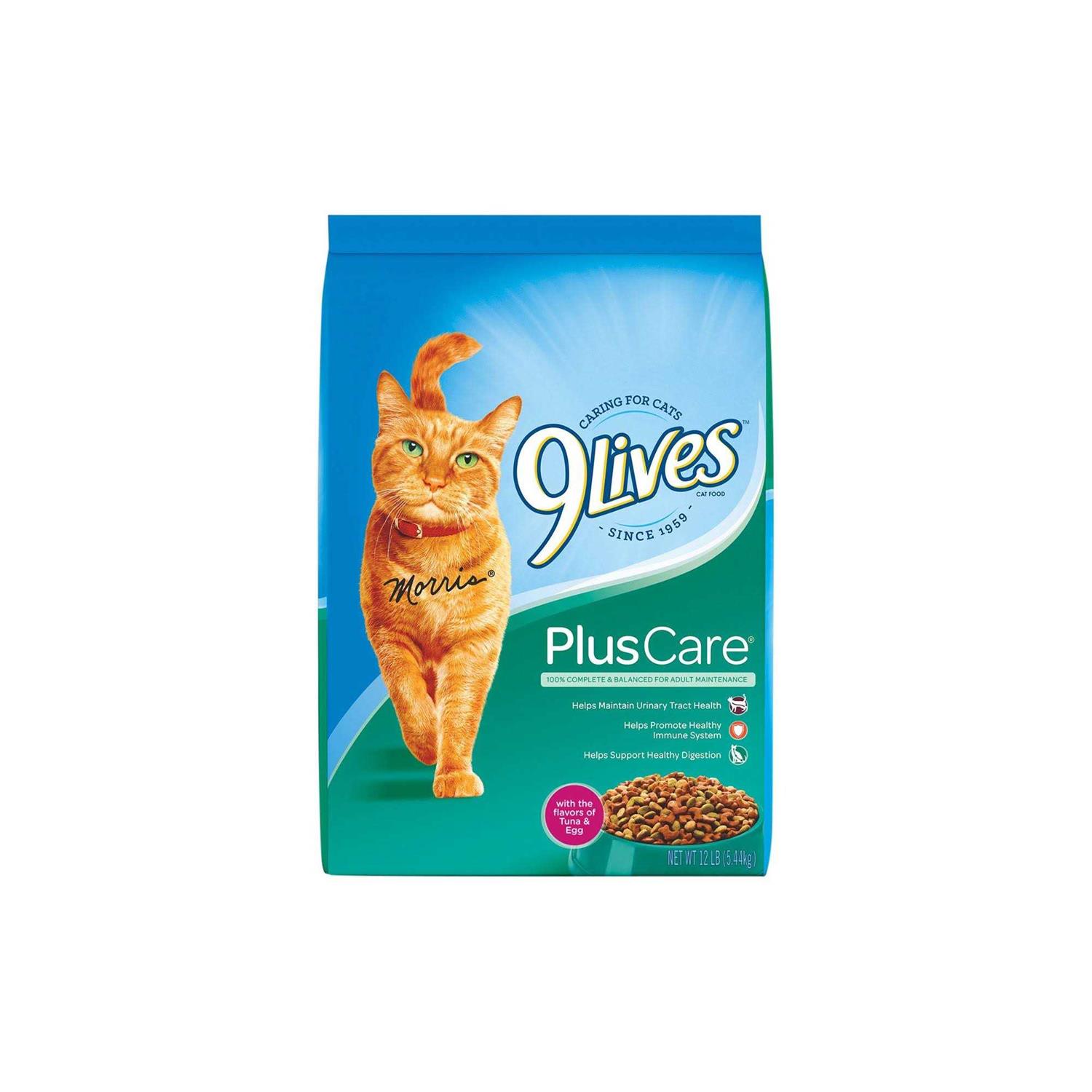 9Lives Plus Care Dry Cat Food - Healthber