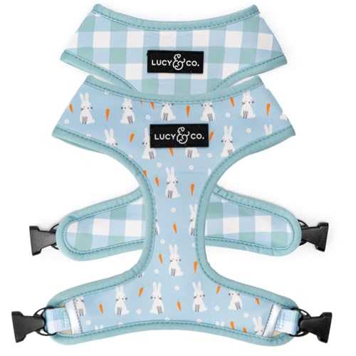 The Funny Bunny Reversible Dog Harness | Lucy & Co Medium - Healthber