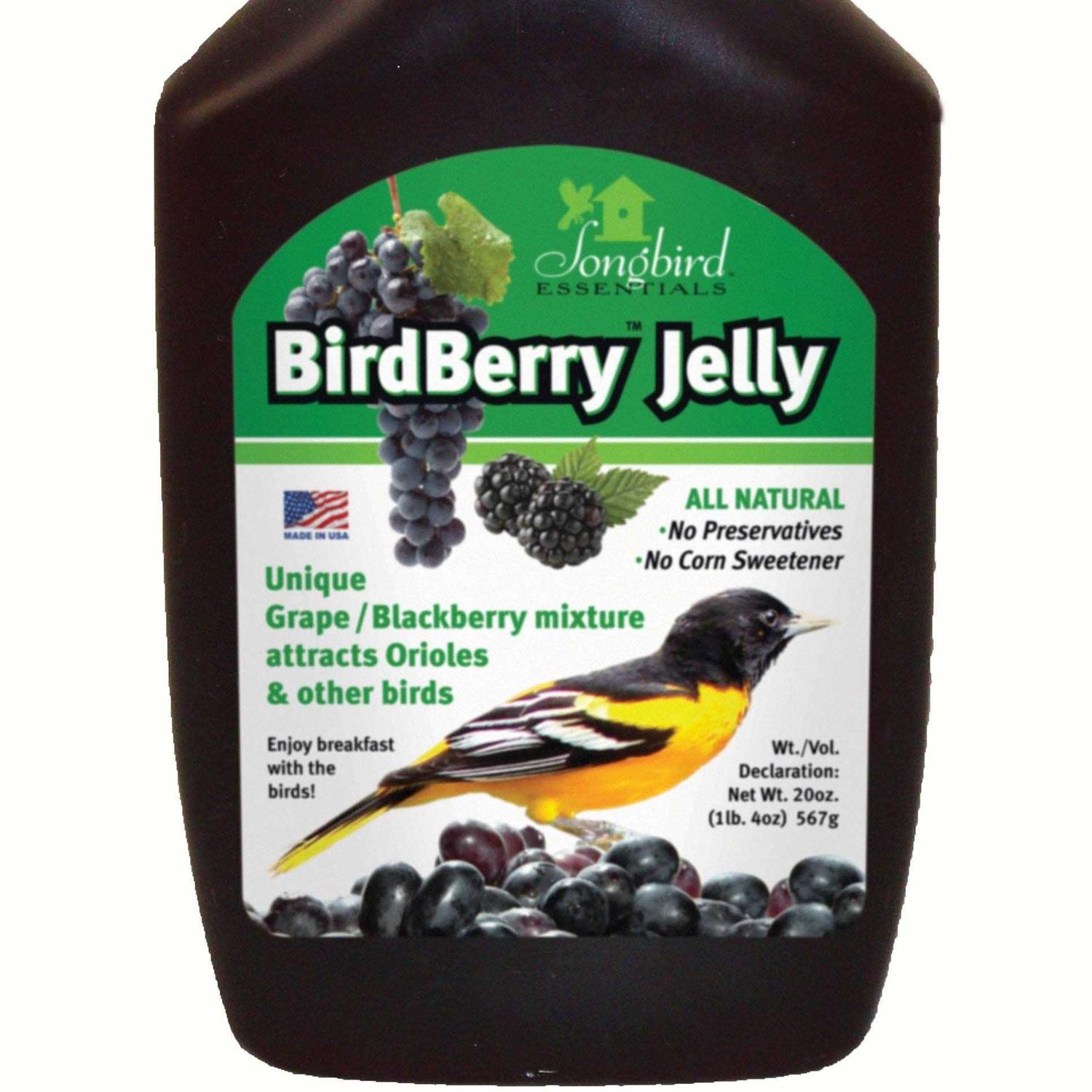 Songbird Essentials Birdberry Jelly 20 oz - Healthber