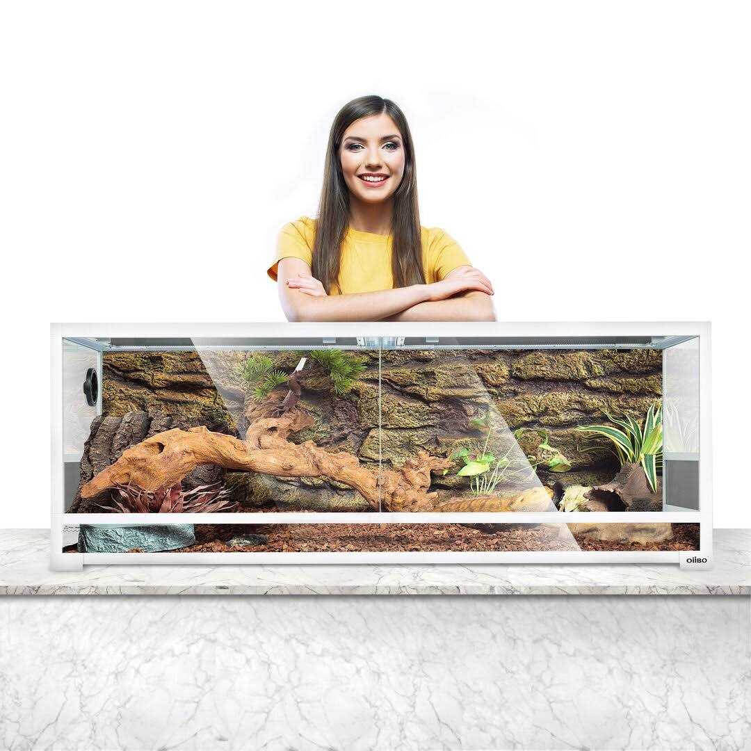 64 Gallon Terrarium OiiBO - Healthber