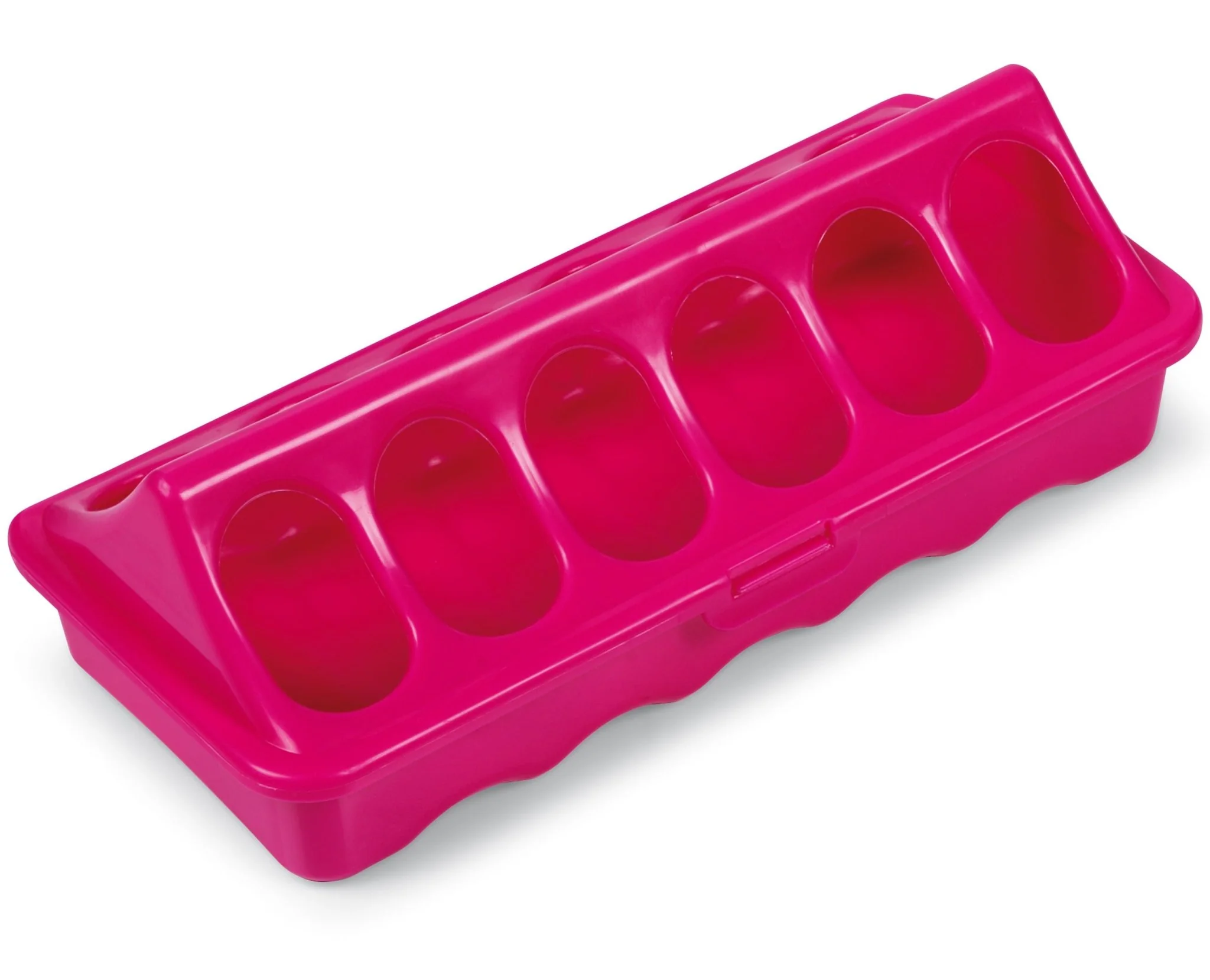 Ground Chicken Feeder, Small - Healthber