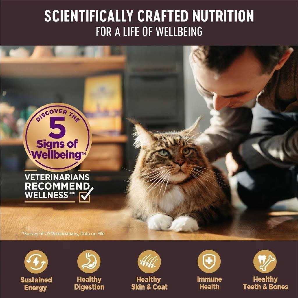 Wellness Core Tiny Tasters Flaked Wet Cat Food - Healthber