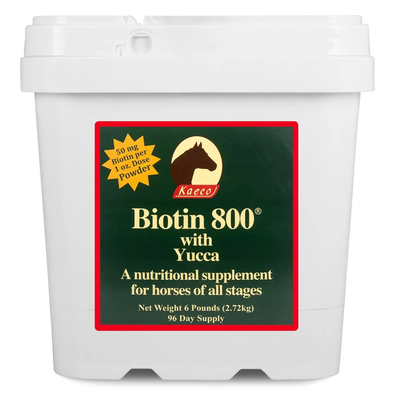 Biotin 800 Powder with Yucca - Healthber