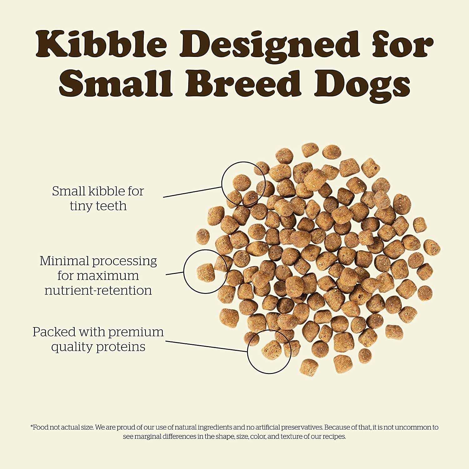 Now Fresh Grain-Free Senior Dry Dog Food - Healthber
