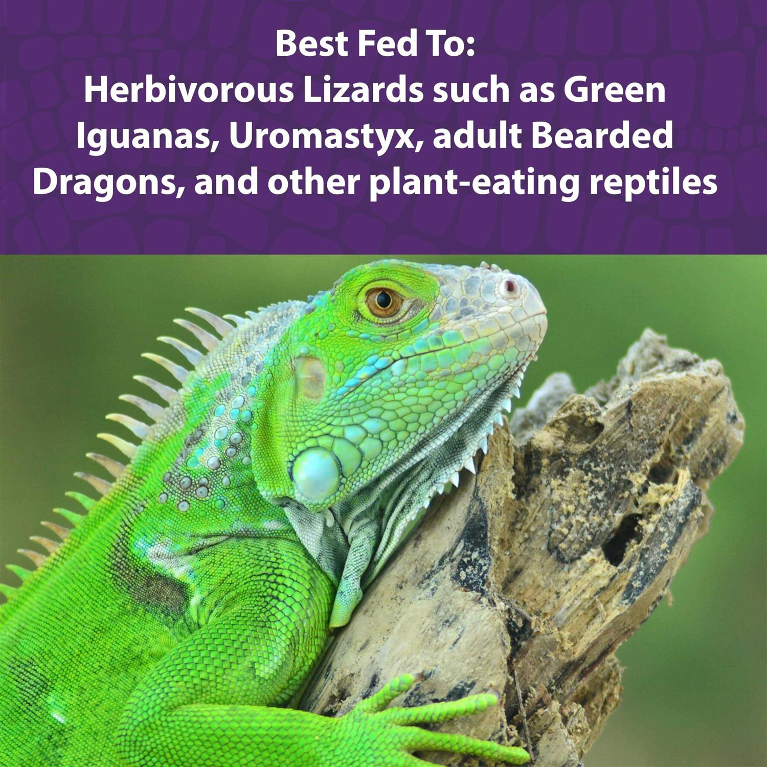 Mazuri Herbivorous Reptile Diet - Healthber