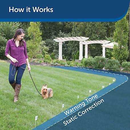 PetSafe Ultralight Receiver Collar PUL-275 - Healthber
