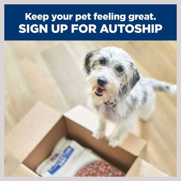 Hill’s Prescription Diet r/d Weight Reduction Wet Dog Food - Healthber