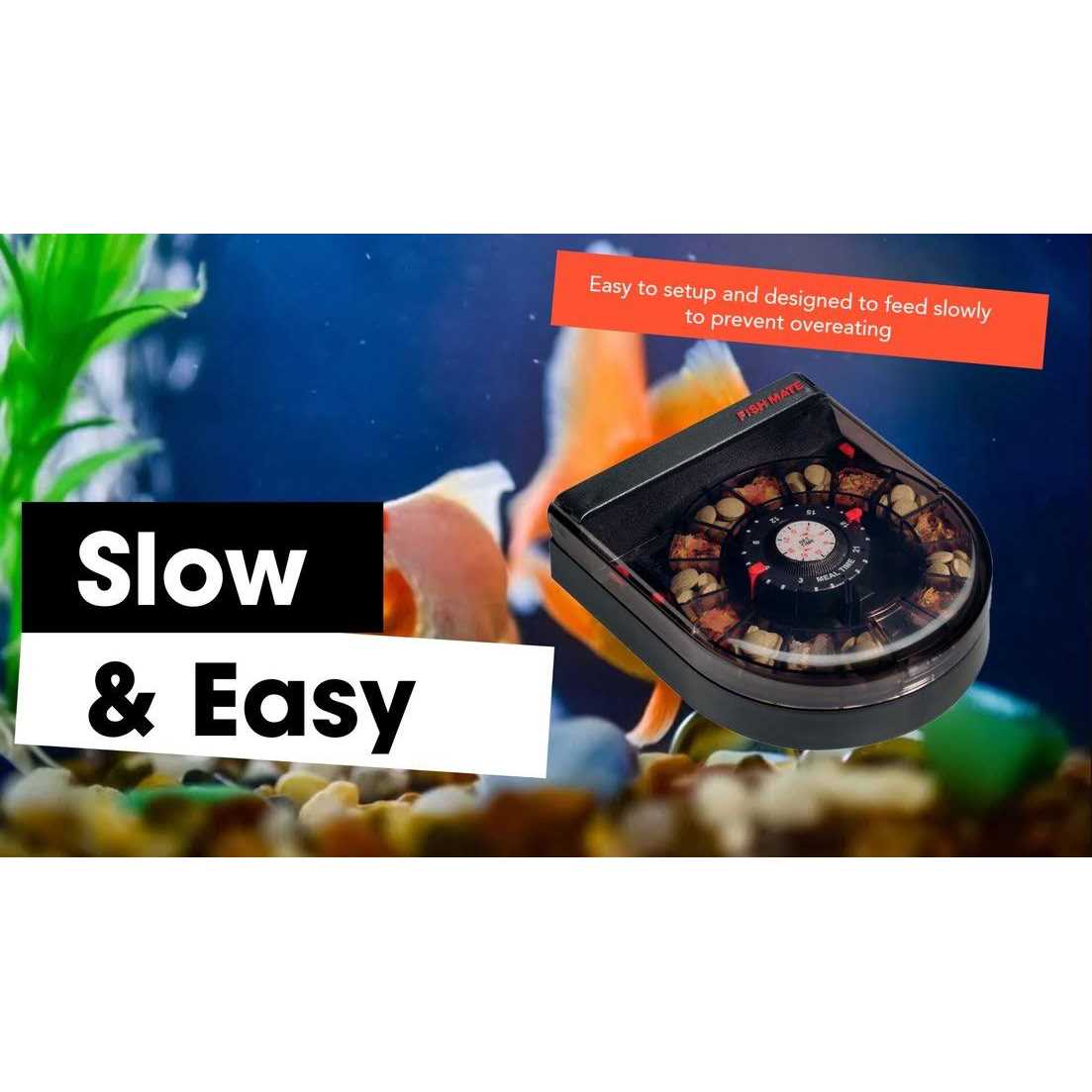 Fish Mate F14 Automatic Aquarium Fish Feeder - Healthber