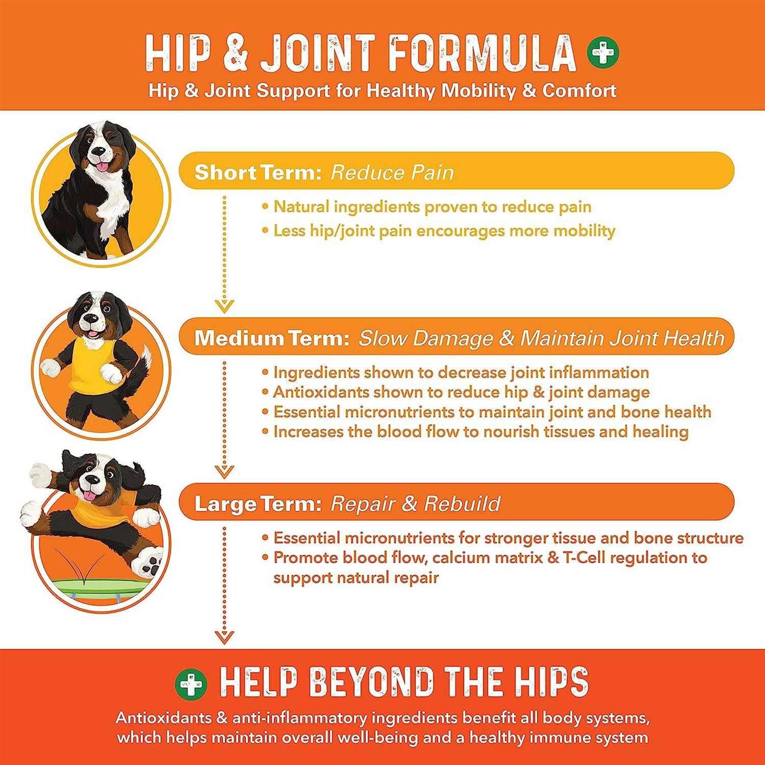 Bernie’s Healthy Hips Daily Dog Hip and Joint Supplement - Healthber