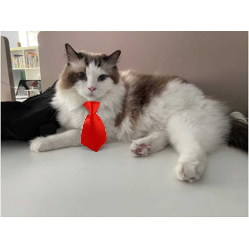 4 Pieces Pets Dog Cat Bowtie Pet Costume Adjustable Formal Necktie Collar for Cats Small Dogs Puppy Grooming Accessories - Healthber