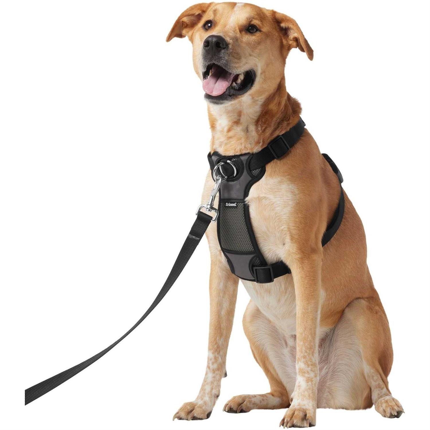Frisco Padded Nylon No Pull Dog Harness - Healthber