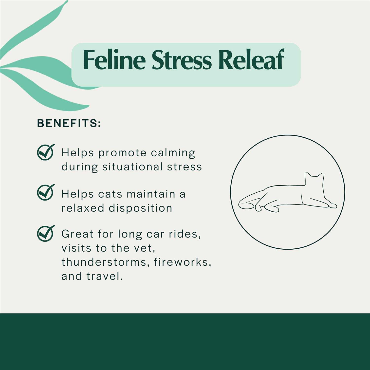 Pet Releaf Feline Stress Releaf Organic Oil for Cats - Healthber