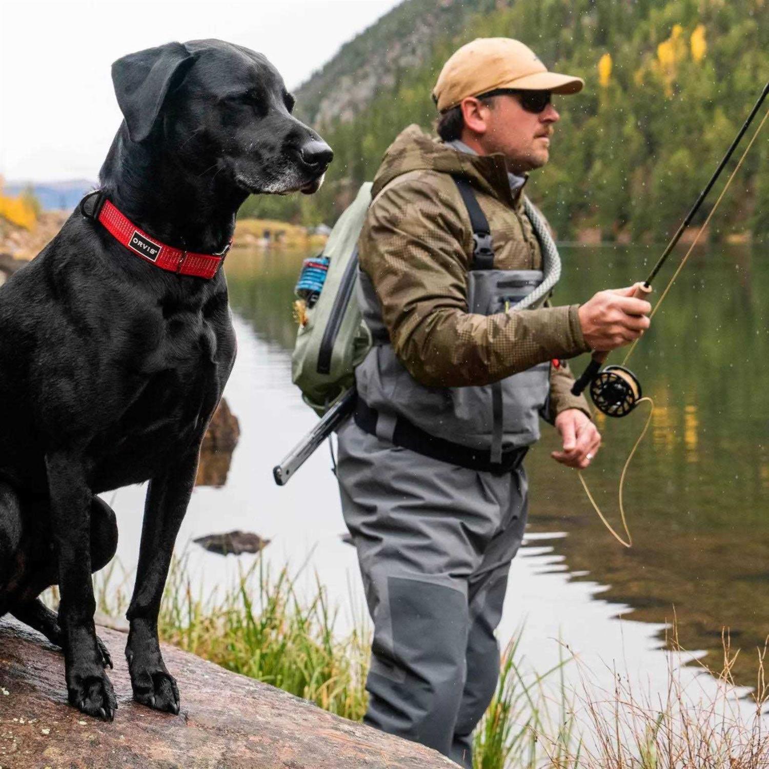 Orvis Tough Trail Dog Collar - Healthber