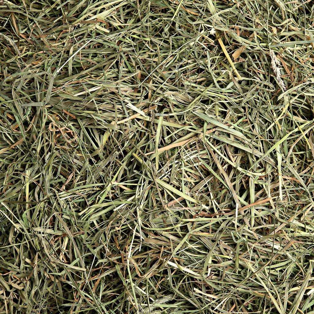 Small Pet Select Cutting Timothy Hay Pet Food - Healthber