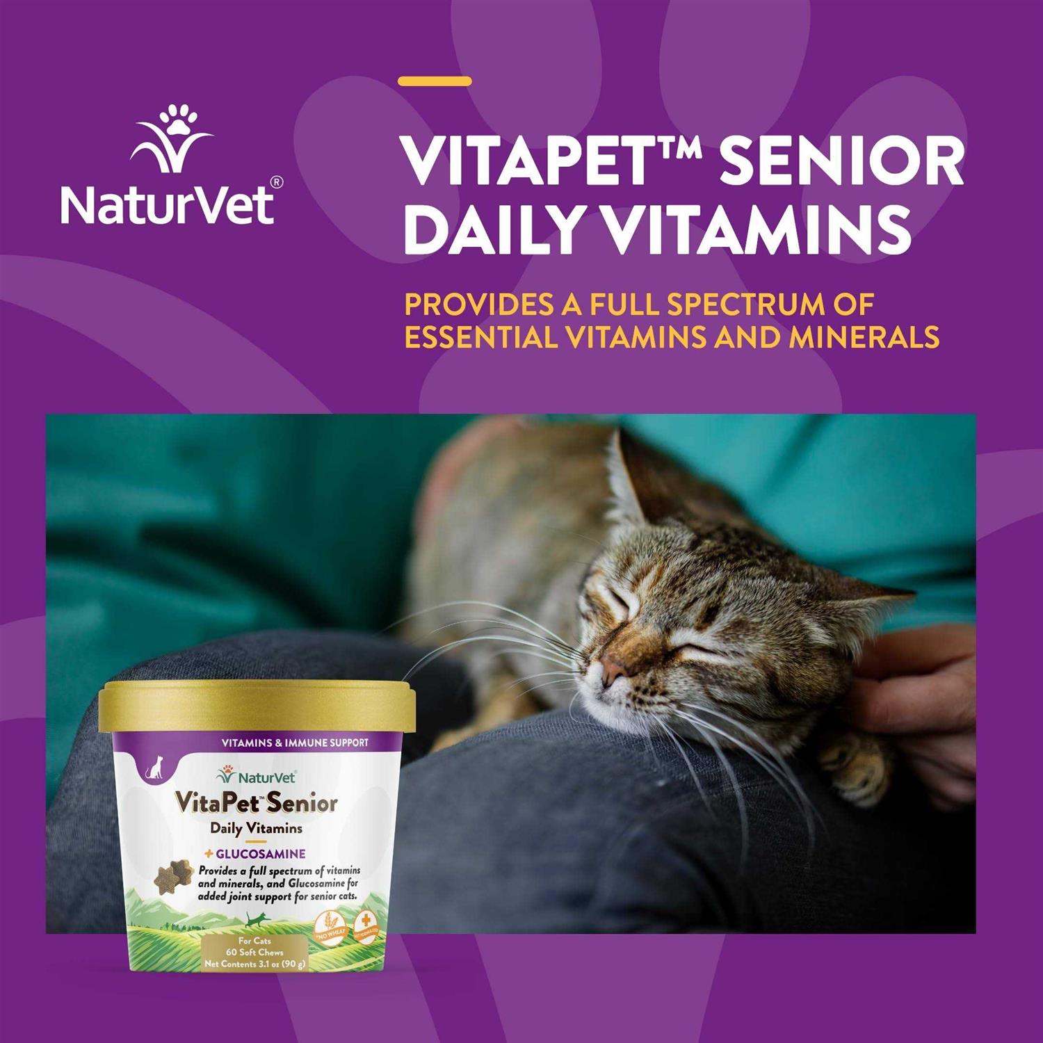 NaturVet VitaPet Senior Daily Vitamins Plus Glucosamine Cat Soft Chews - Healthber