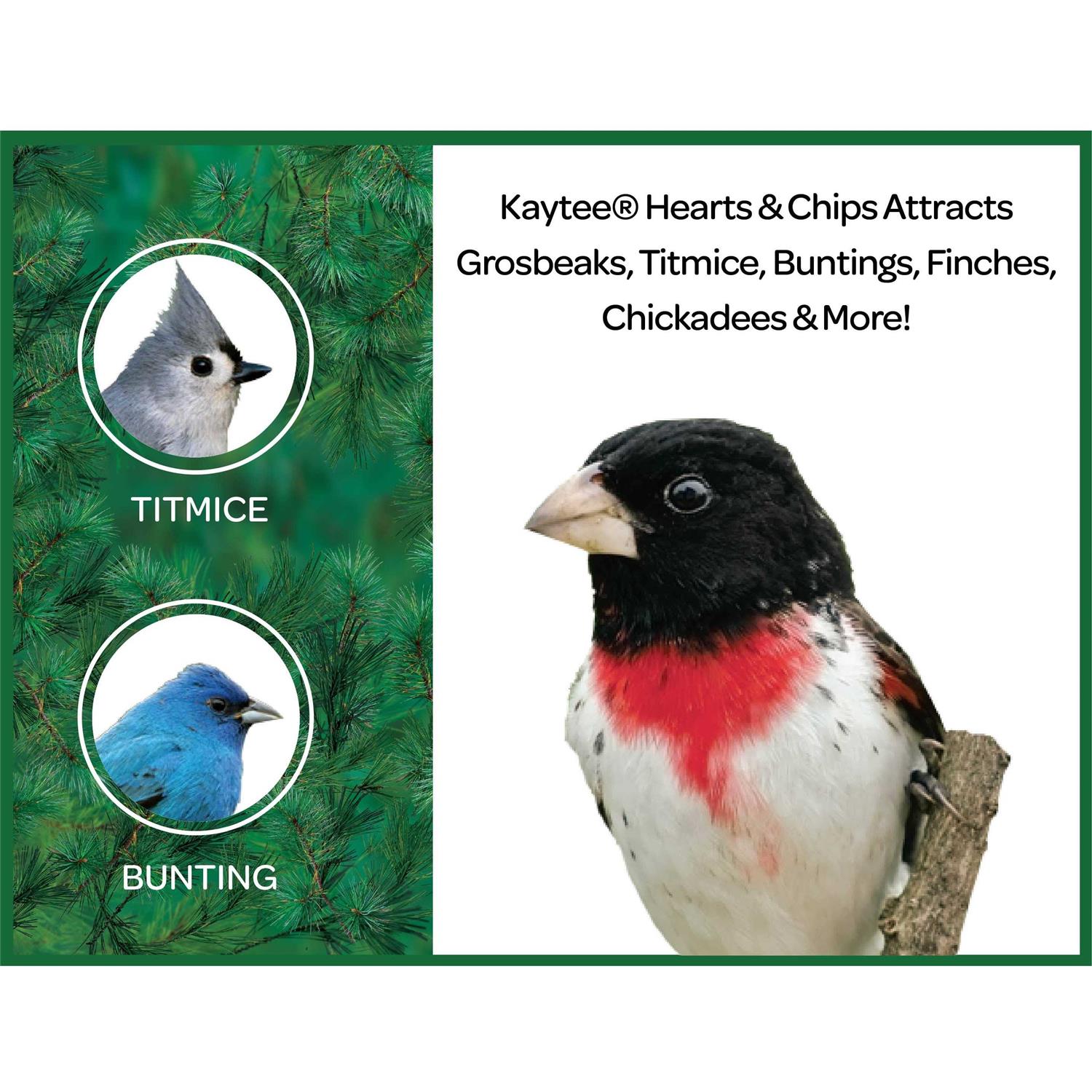Kaytee Sunflower Hearts & Chips Wild Bird Food - Healthber