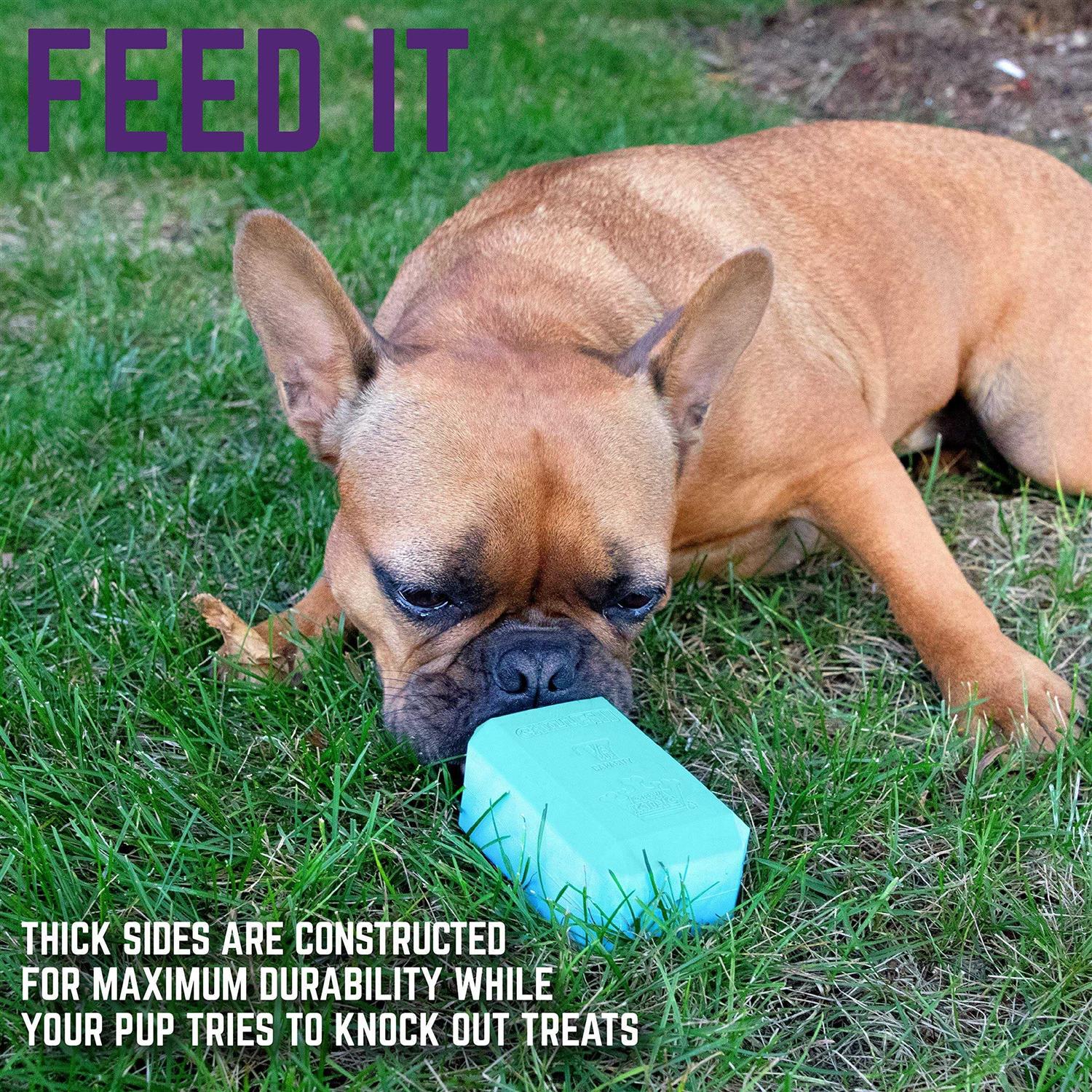 Chew King Premium Dog Treat Toy - Healthber