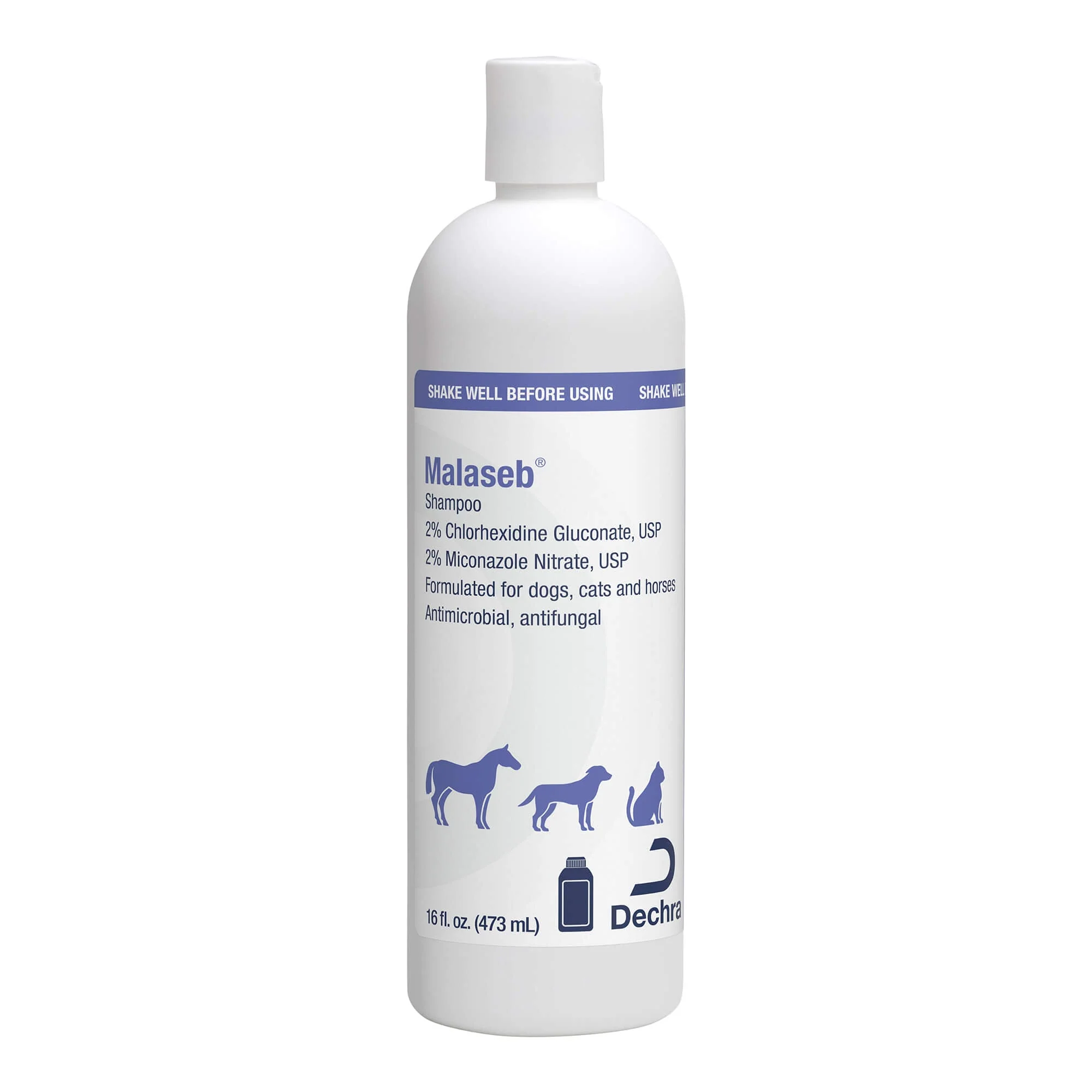 Malaseb Shampoo, 16 oz - Healthber