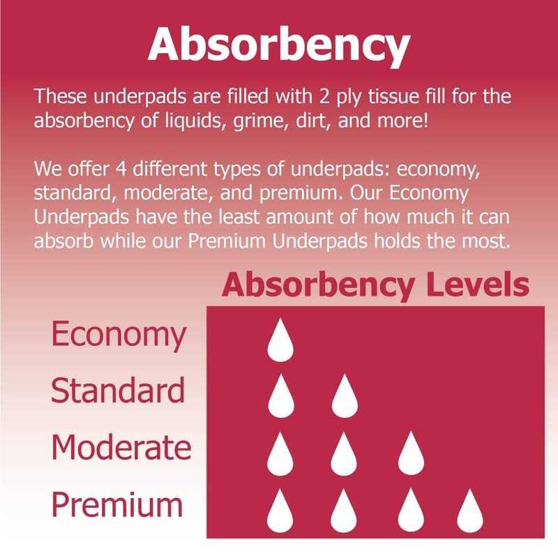 Dealmed Economy Absorbency Disposable Underpads 2-Ply Tissue Fill 17 X 24” - Healthber
