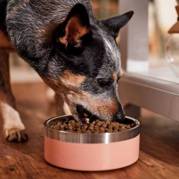 Country Vet Naturals Butcher Shop Blend Dog Food - Healthber