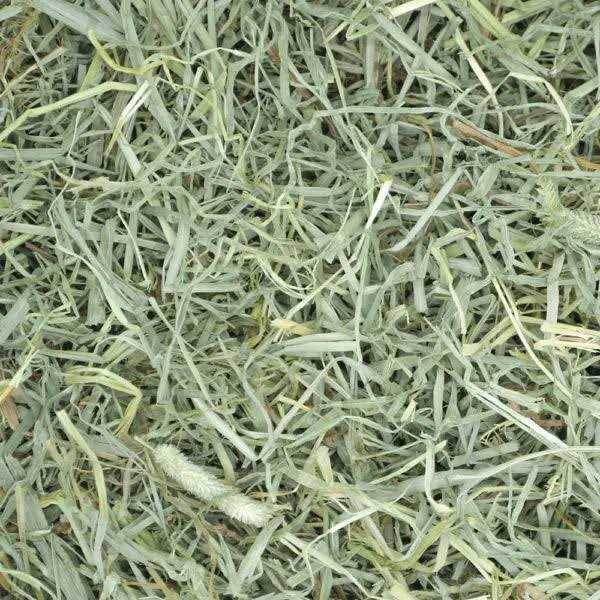 Oxbow Prime Cut Soft & Lush Timothy Hay Small Pet Food - Healthber