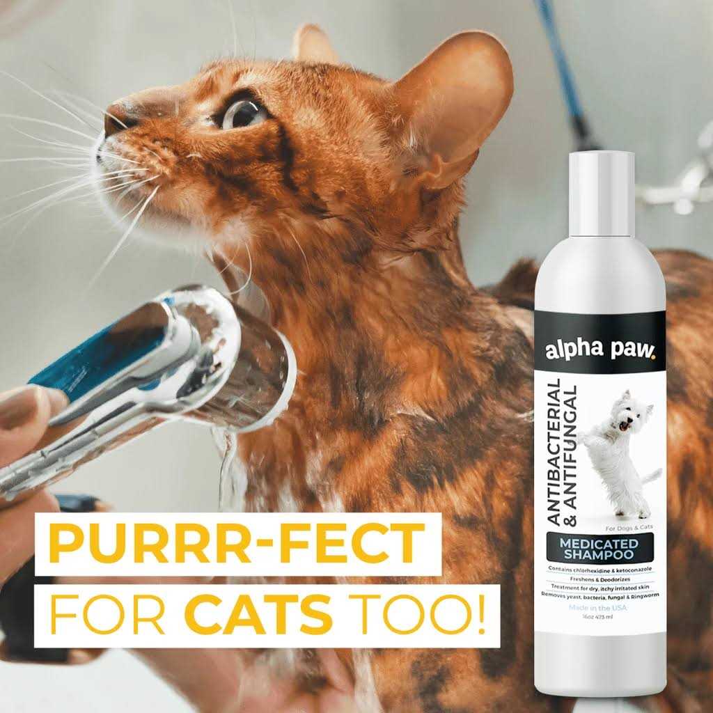 Alpha Paw Antibacterial & Antifungal Medicated Shampoo - Healthber