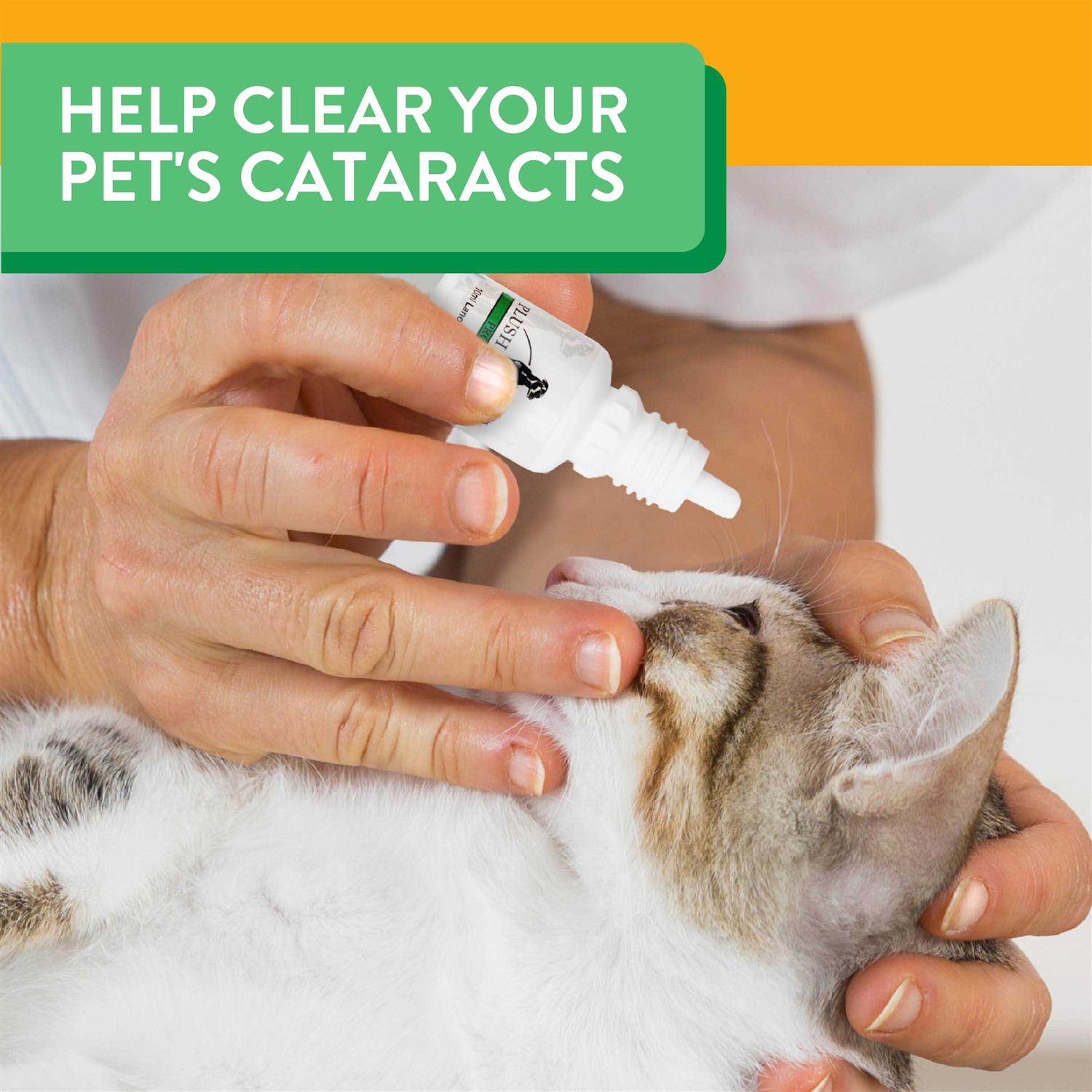 Plush Paws Advanced Lanosterol Solution + NAC - Healthber