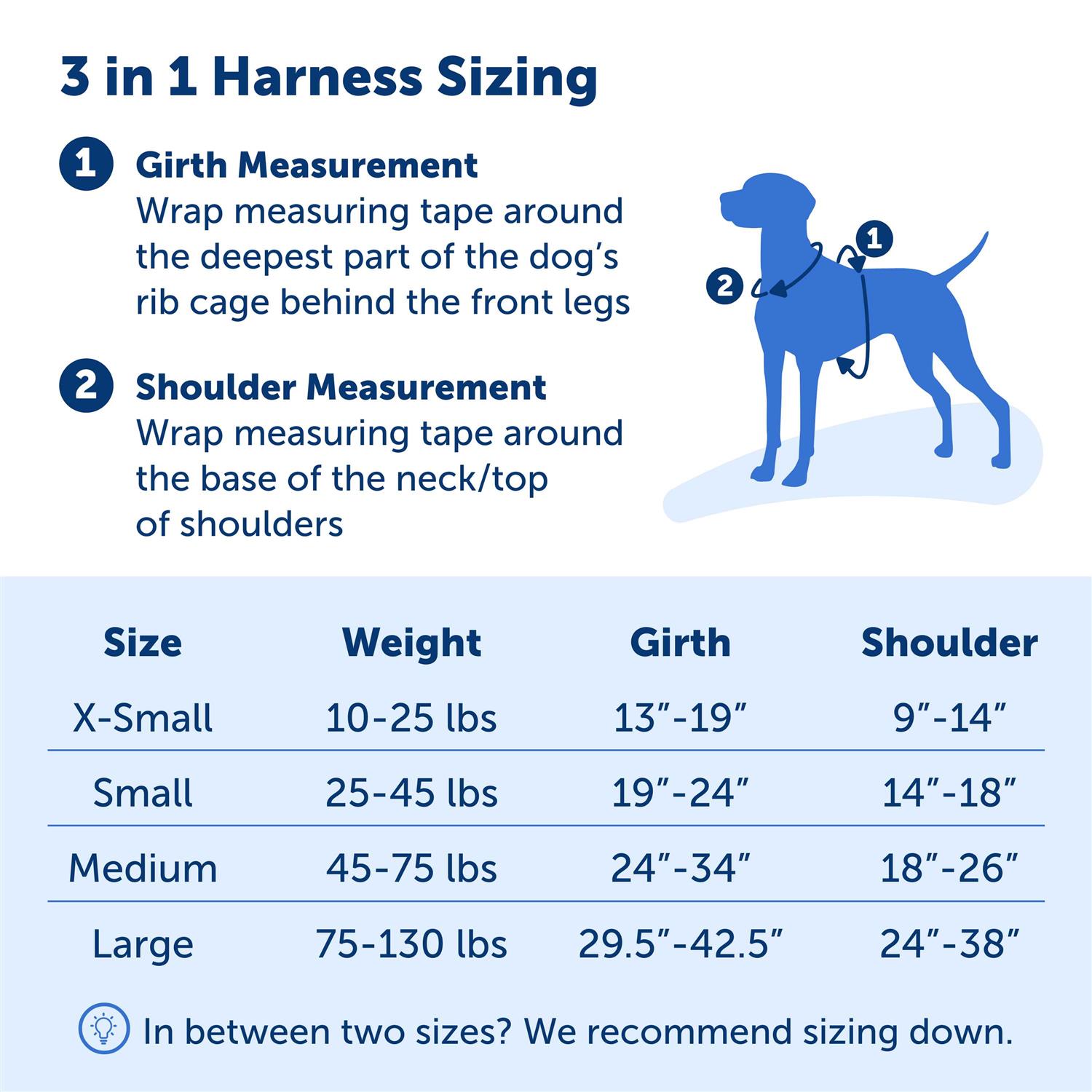 PetSafe 3 in 1 Harness - Healthber