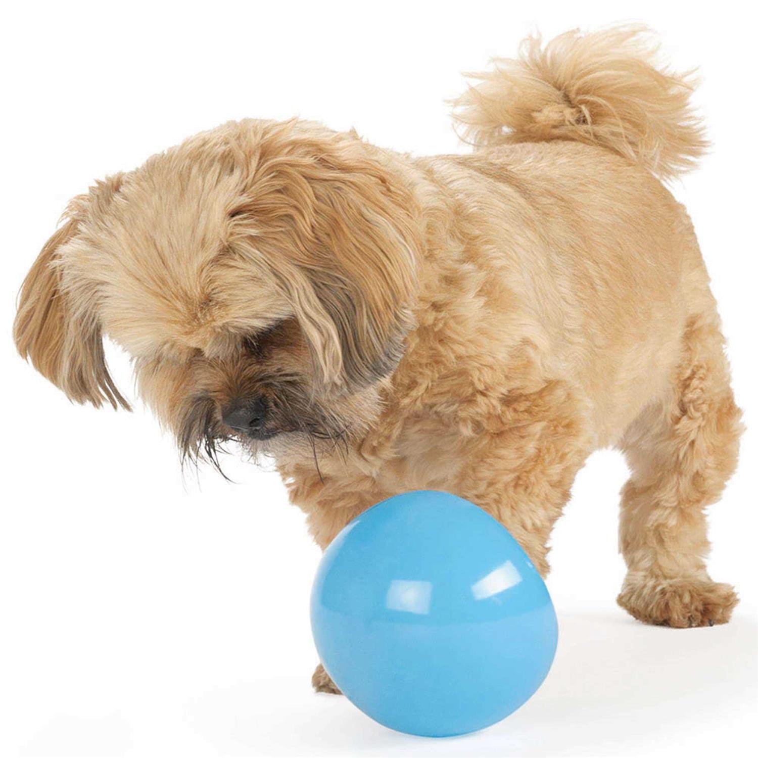 Planet Dog Orbee Tuff Snoop Dog Toy - Healthber