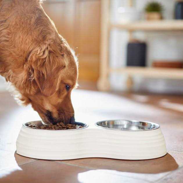 Frisco Stainless Steel Double Dog Bowls with Melamine Stand - Healthber