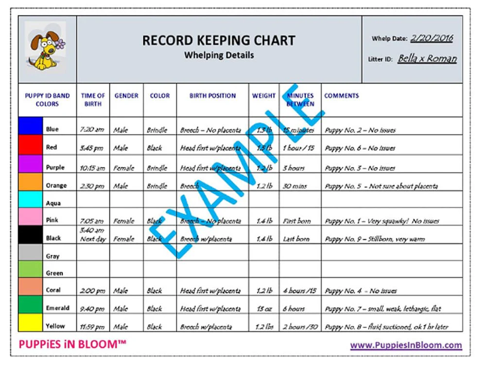 Puppies in Bloom Breeder Record Keeping Charts - Healthber