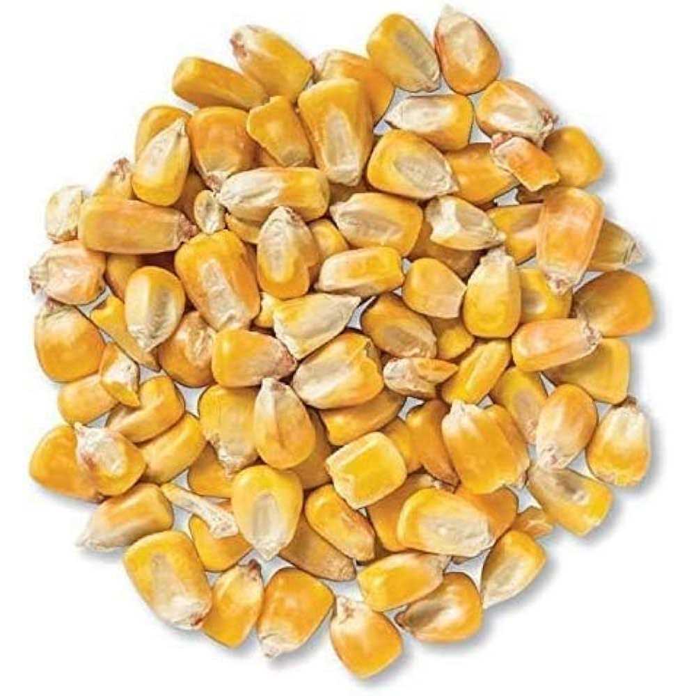 CountryMax Bulk Whole Corn for Wildlife Feeding - Healthber