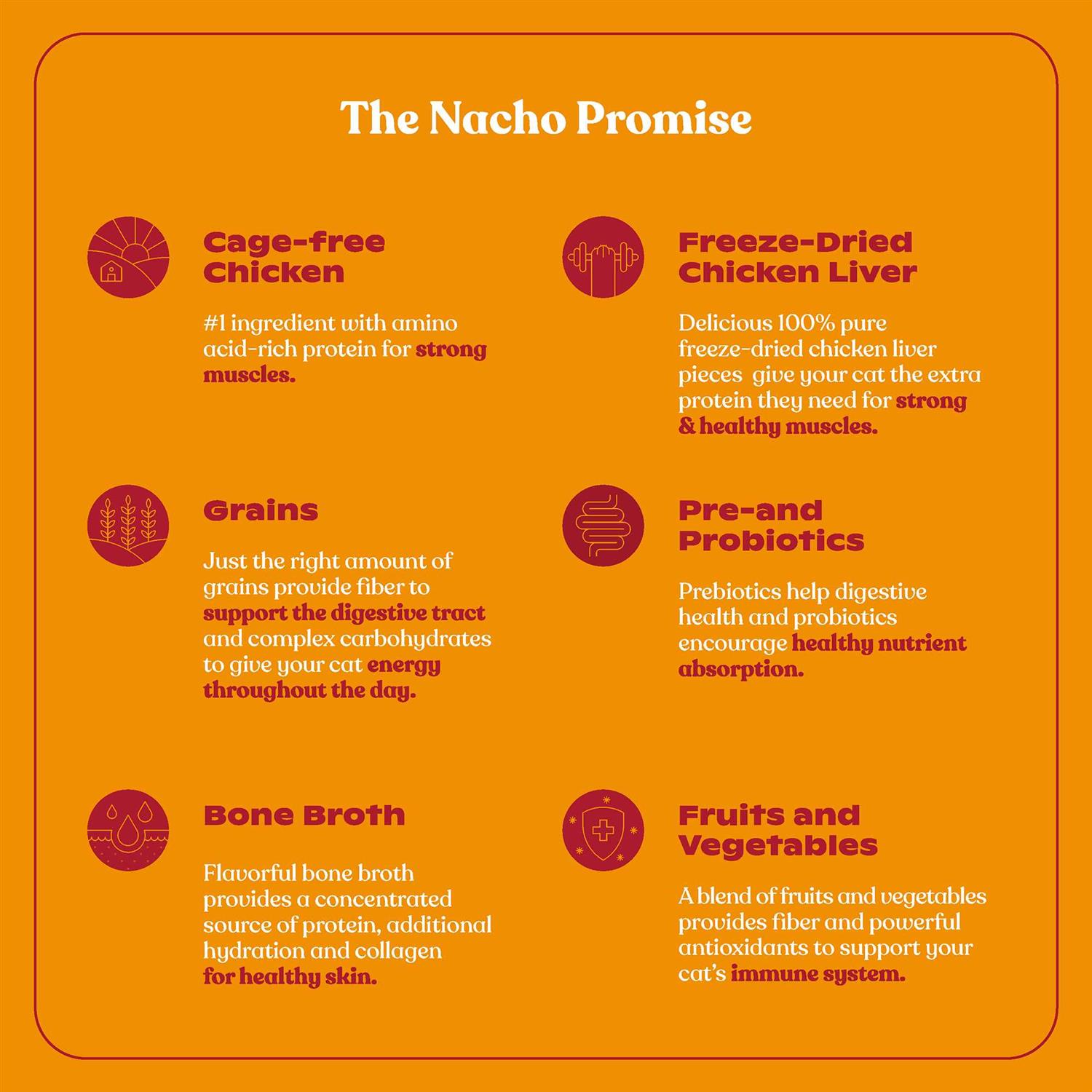 Made by Nacho Dry Cat Food with Freeze Dried Raw Kibble - Healthber
